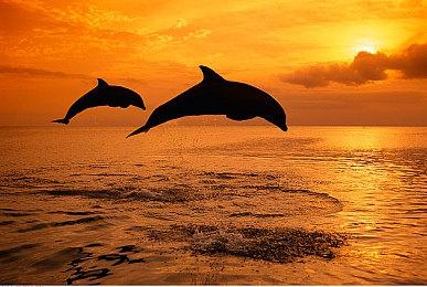 秒变恐怖游戏 《猎杀：对决》万圣节活动预告片